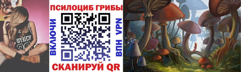Псилоцибиновые грибы мухоморы Борзя