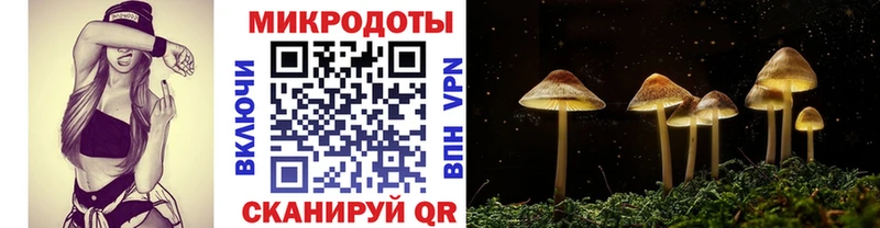 Галлюциногенные грибы Cubensis  Борзя 